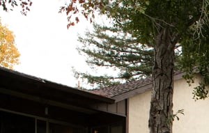 Danville, CA Apartments | Home | Danville Park Apts